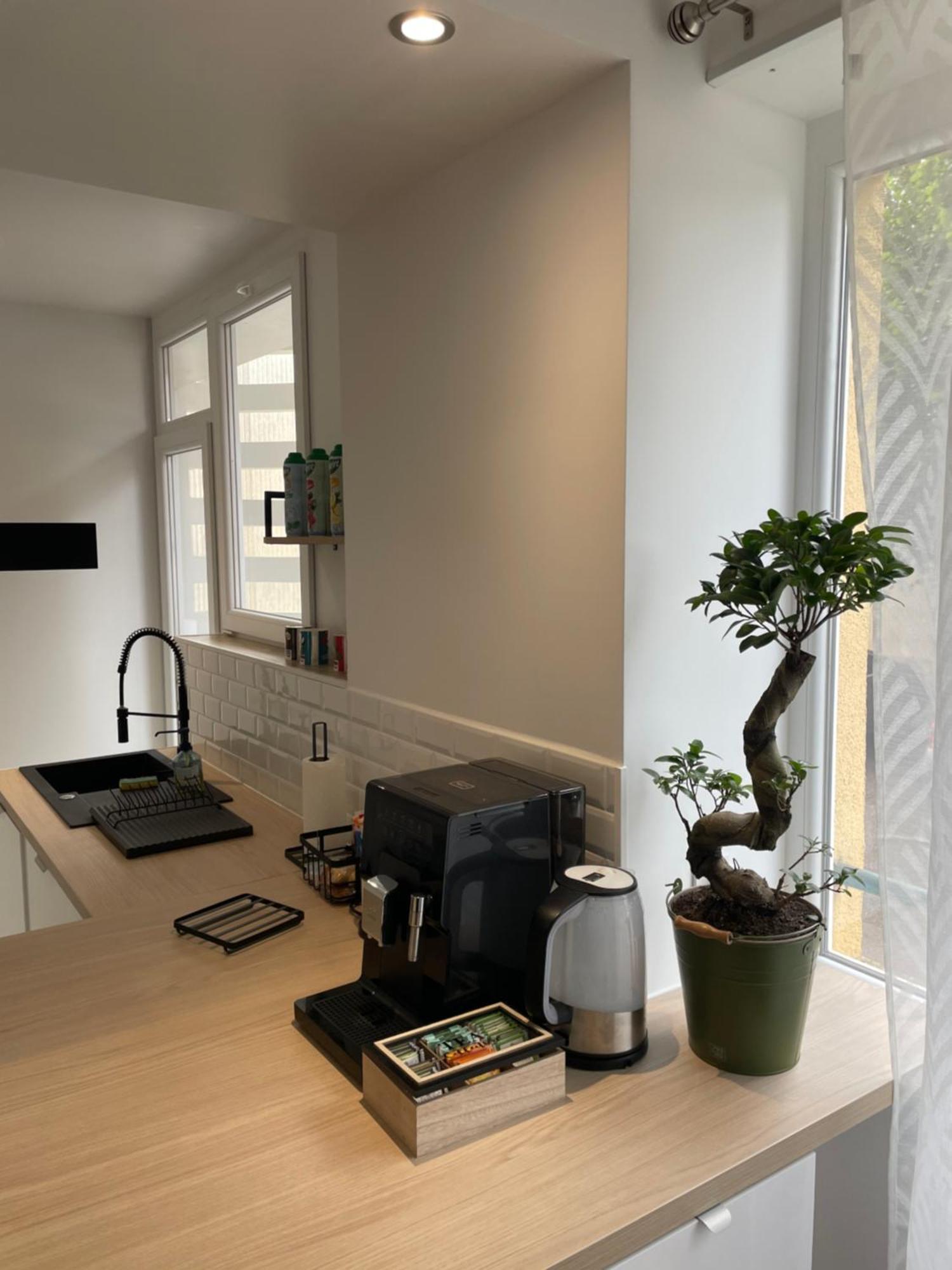 Appartement Du Lion Belfort Exterior foto